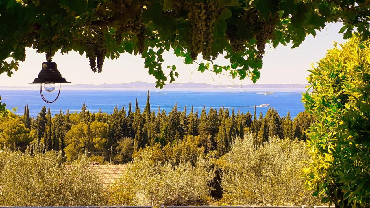 Mediterranean House - Forest Marjan سبليت المظهر الخارجي الصورة